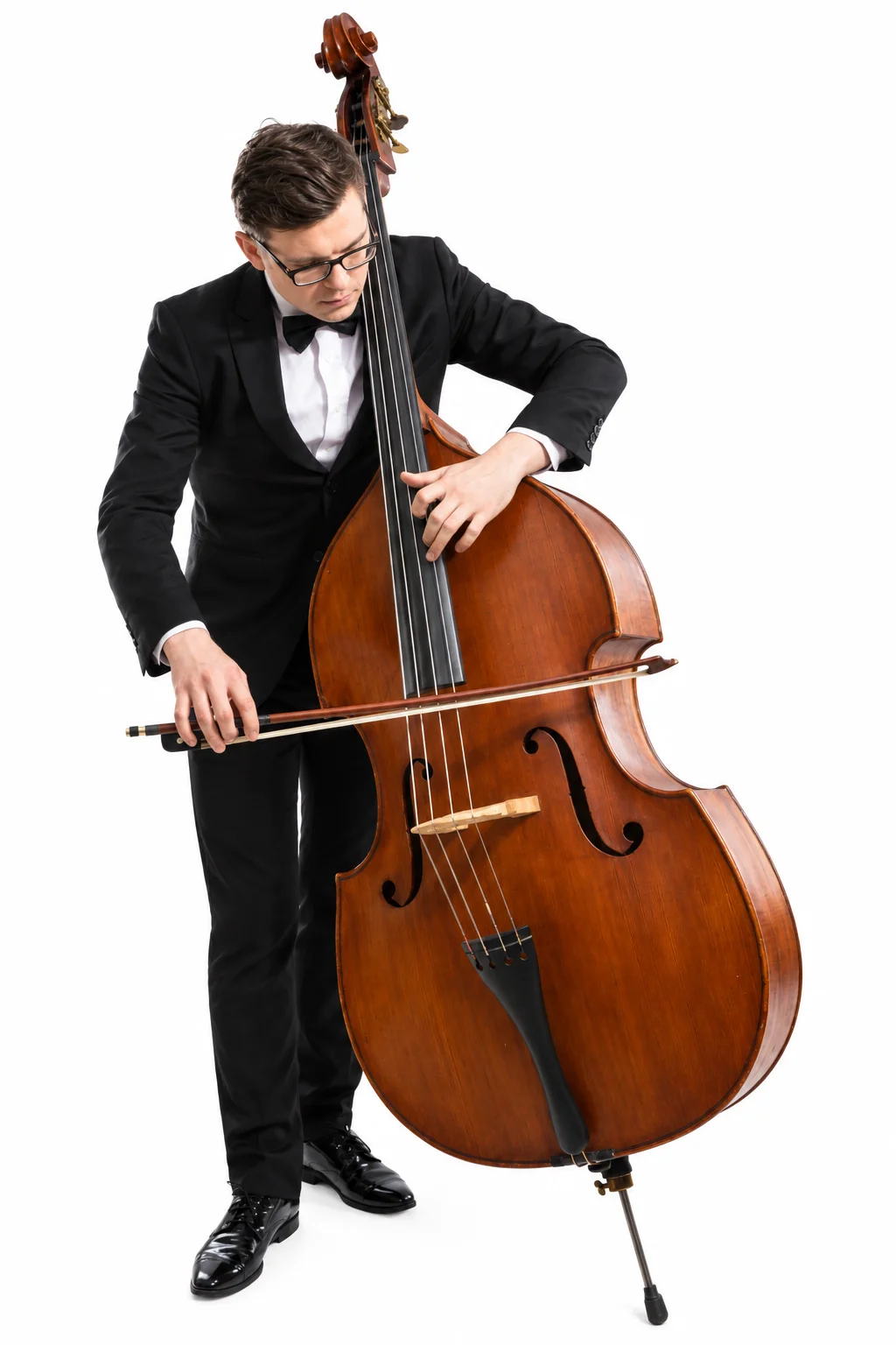 تصویر ساز کنترباس (Contrabass)